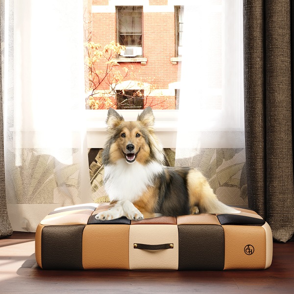 ACH4 pet accessories - New decor collection for Dogs and Cats