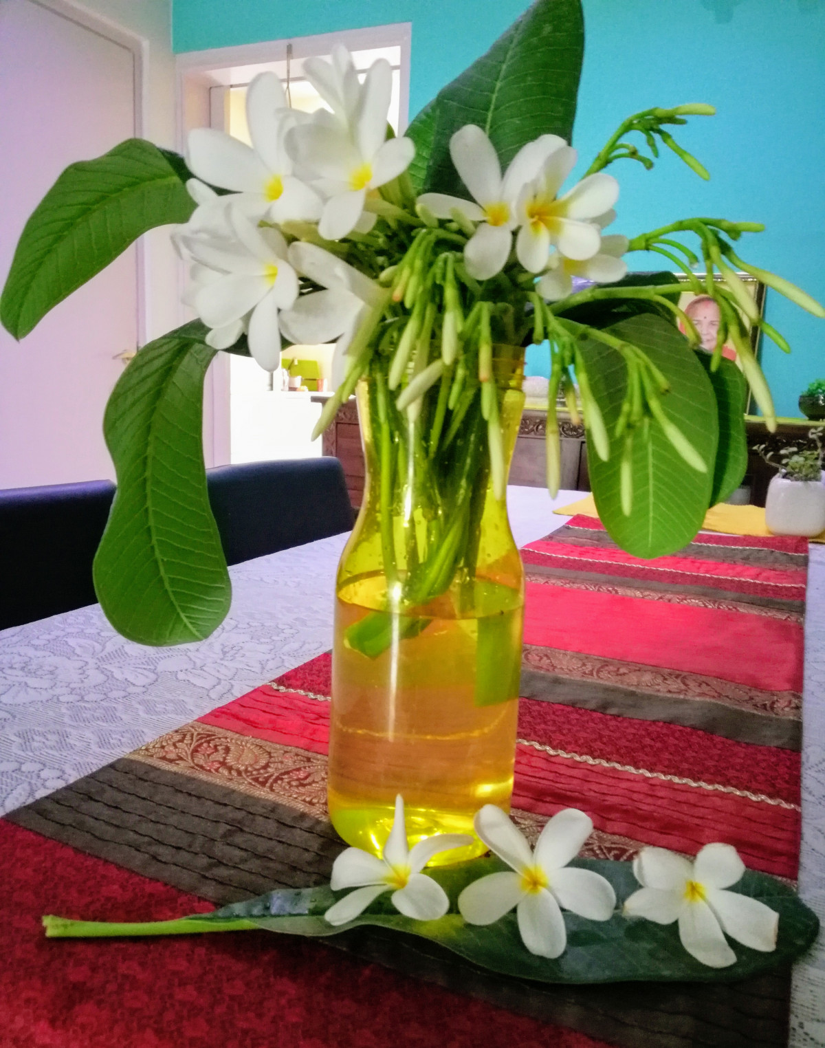 DIY home decor using flower Plumeria in appe bottle Design dekko