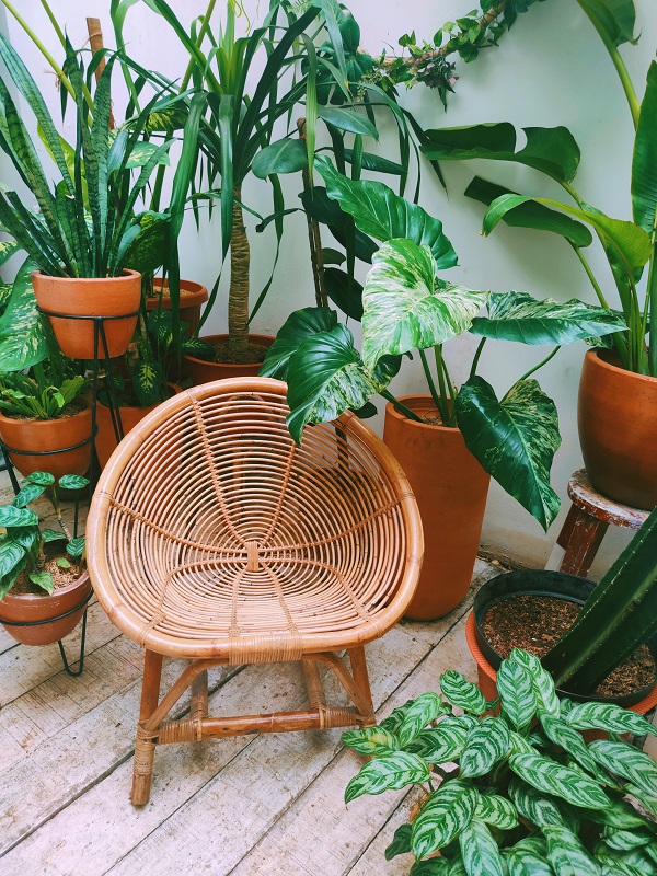 7 Creative ways to revamp your outdoor space and impress your guests ...