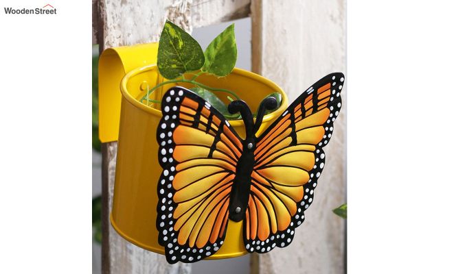 butterfly citrus pot planter design dekko