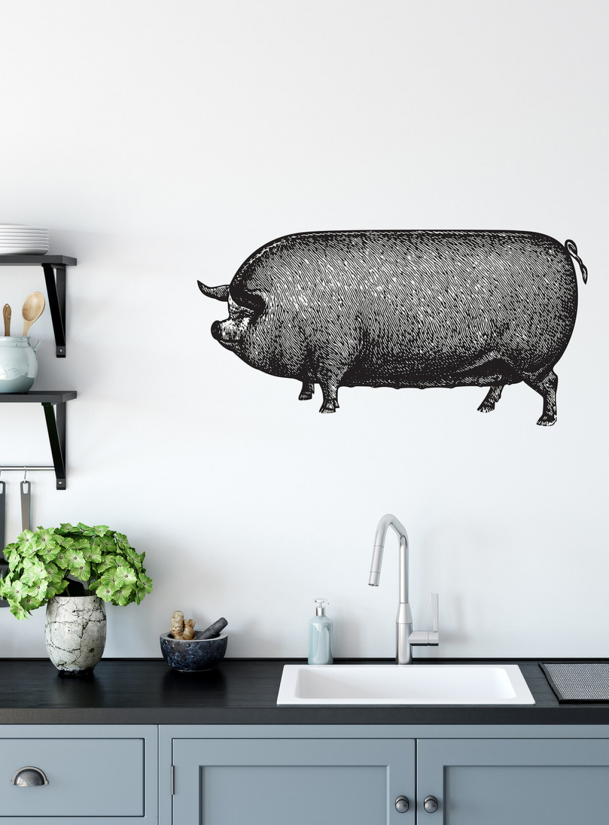 A pig all along  Color : B&W | Photo credit: MERAKI