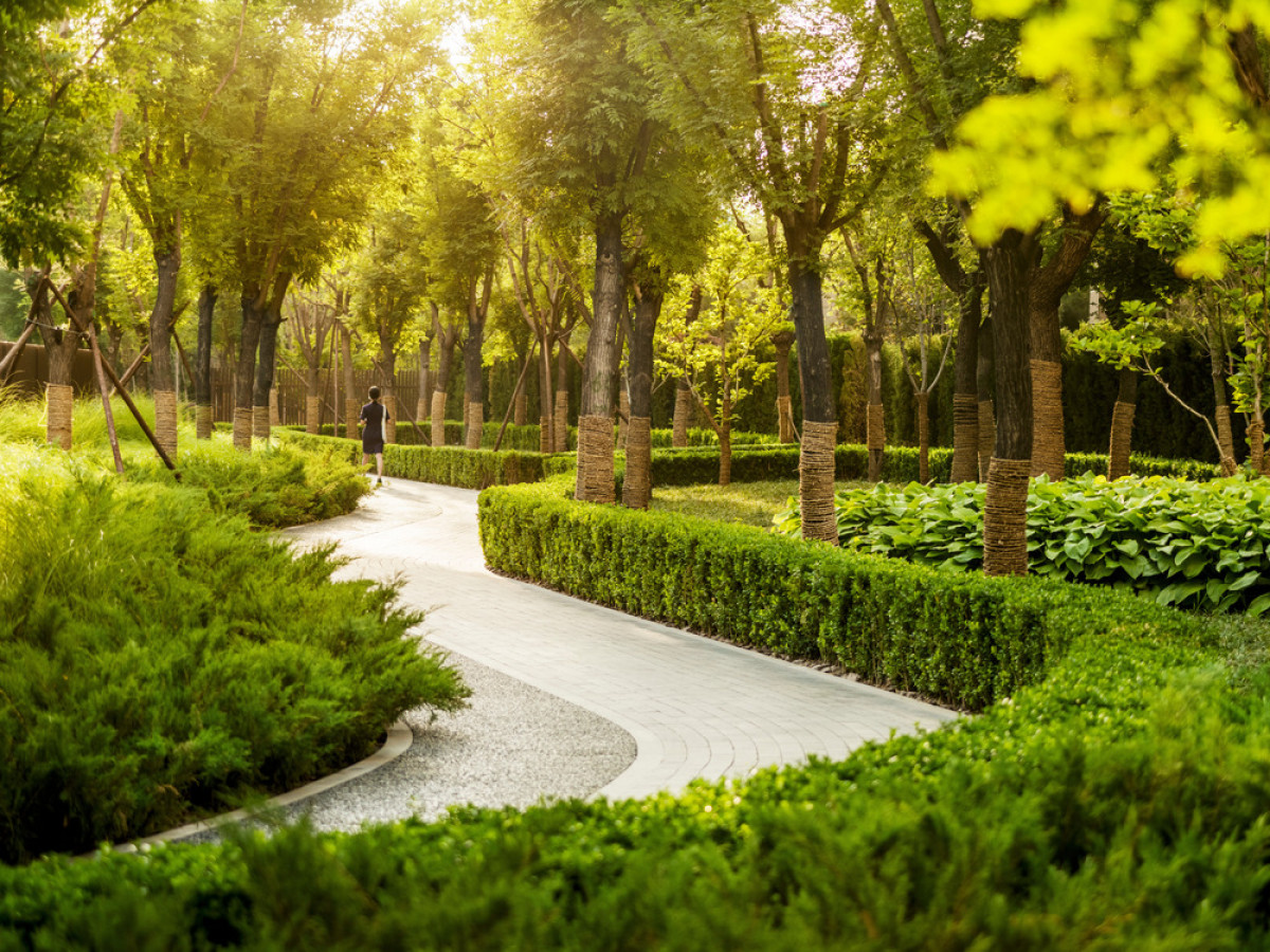 The circulation around the site is defined through a hierarchy which is subtly expressed through the paving. The main circulation loop which circumambulates the site is divided into two materials, a permeable poured material ideal for jogging or children’