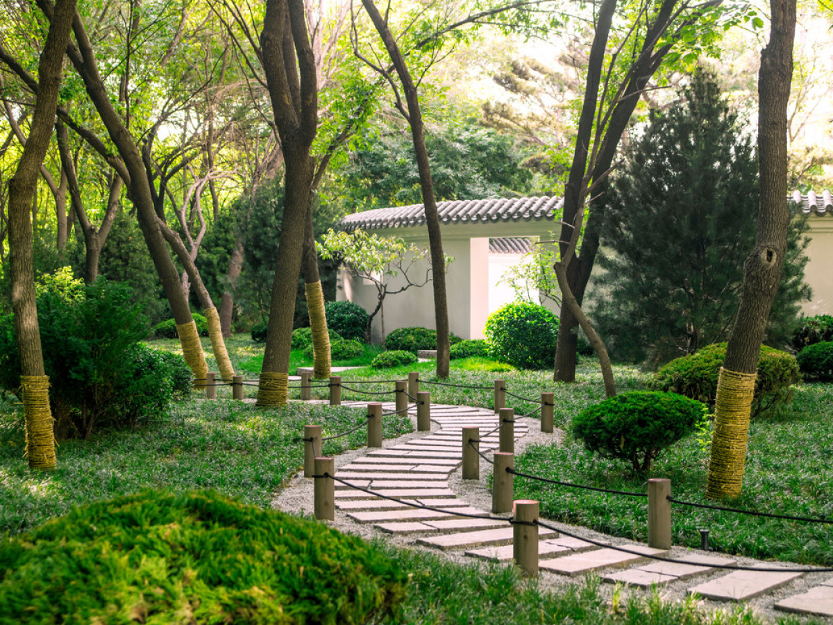 A stone stepped pathway meanders through the forest, slowing the pace of walk and allowing the visitor to fully immerse into the nature. | Photo credit: LIN Banye