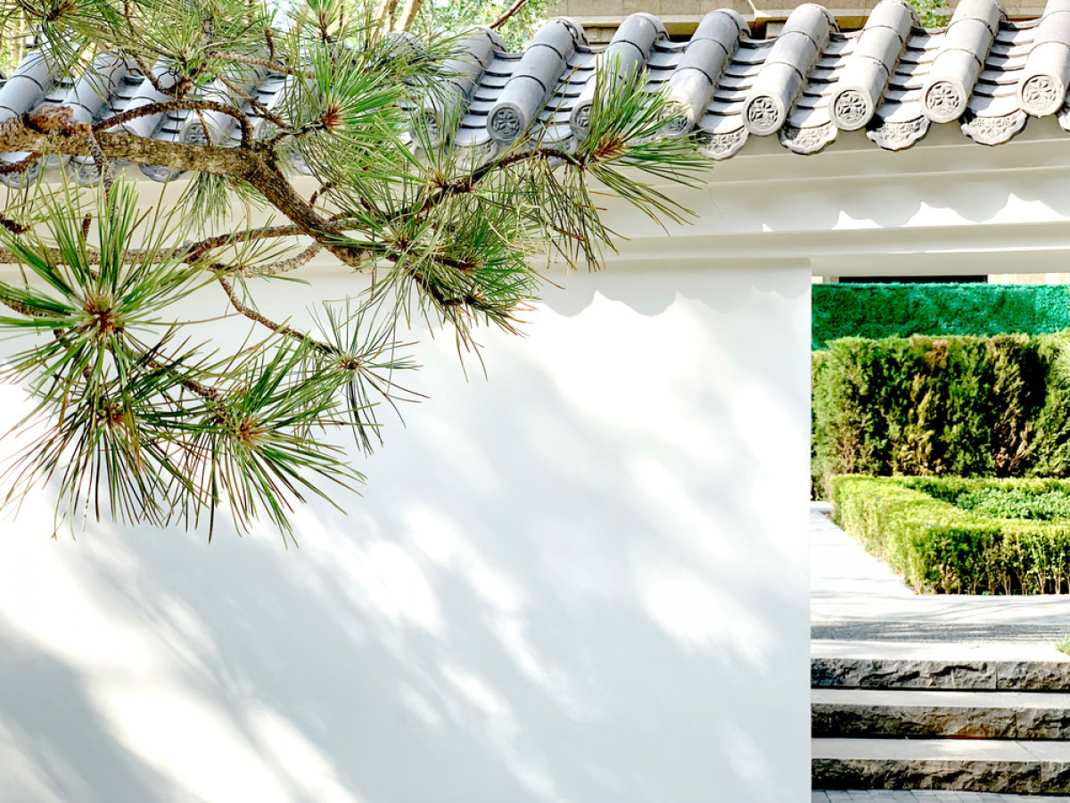 A shaped pine branch bows in front of the white wall of the wintergarden. Photo credit: BAM