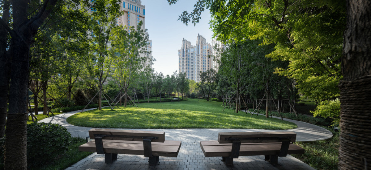 A seating area at the boundary of the forest allows for rest. | Photo credit: LIN Banye