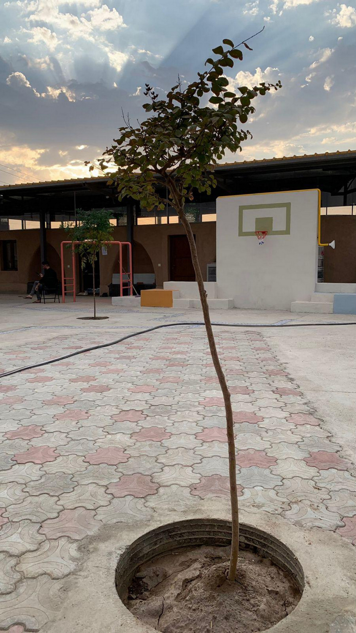 Photo credit: Habibi Community Centre