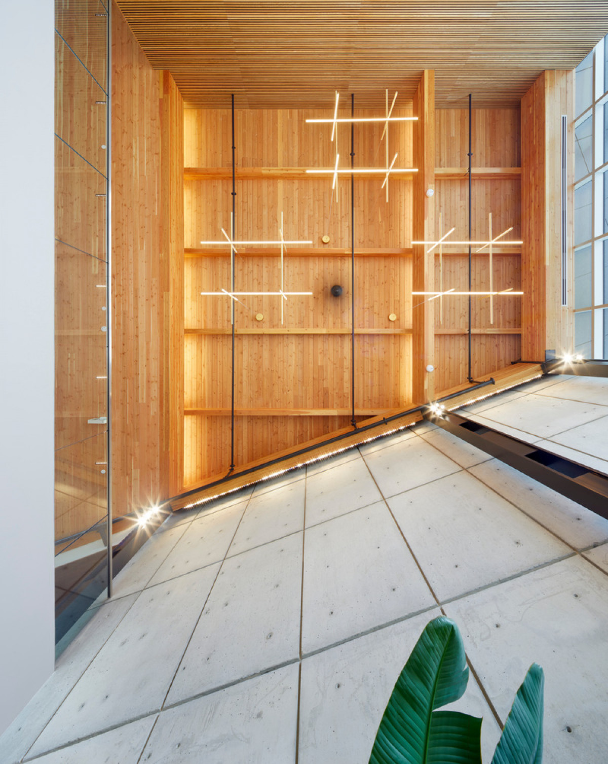 Photo credit: Tom Arban Photography