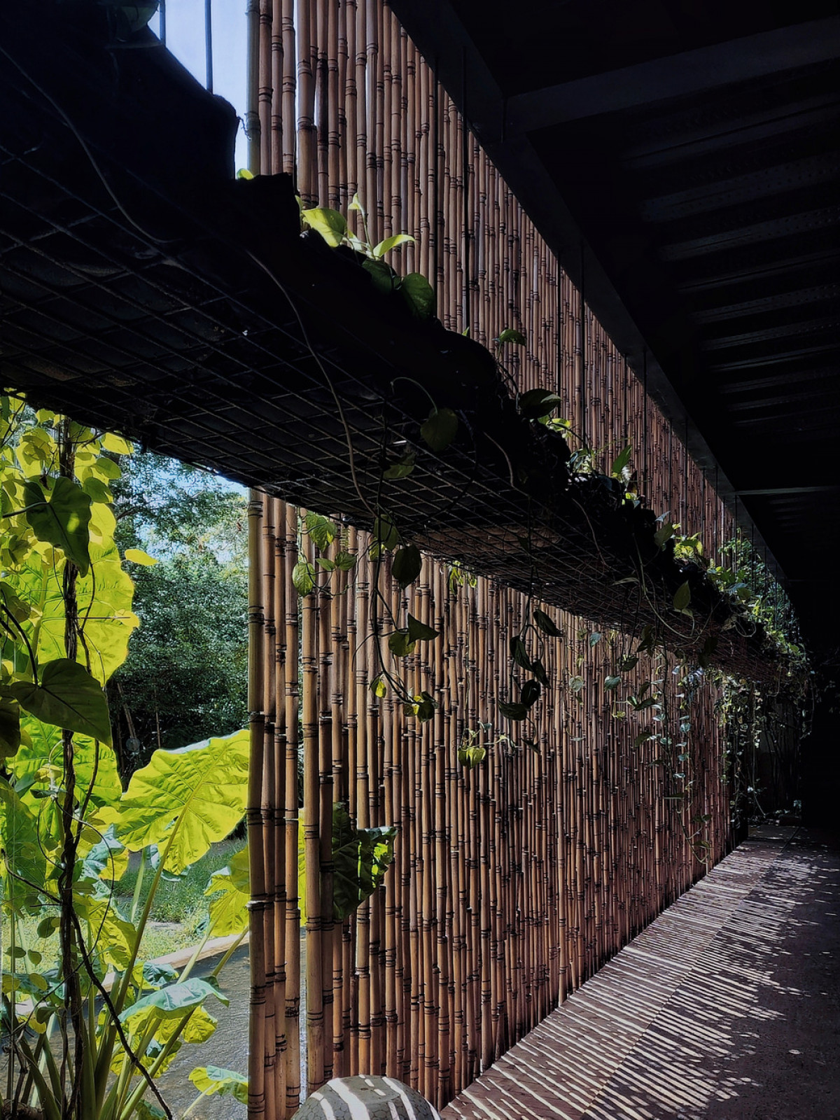 Photo credit: INFINITIVE Architecture