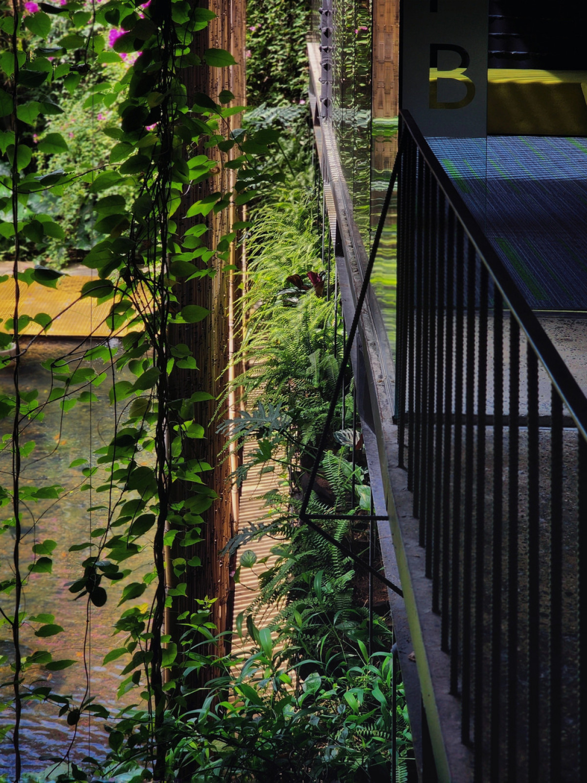 Photo credit: INFINITIVE Architecture