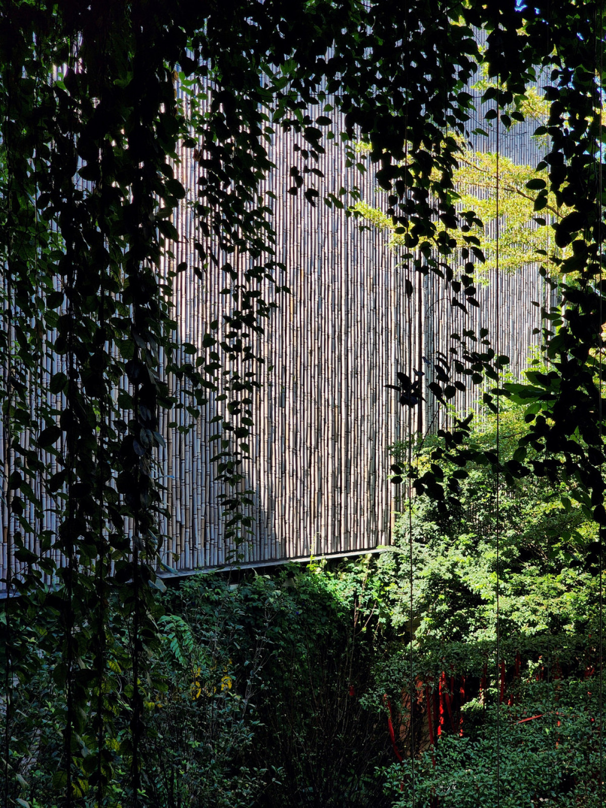 Photo credit: INFINITIVE Architecture