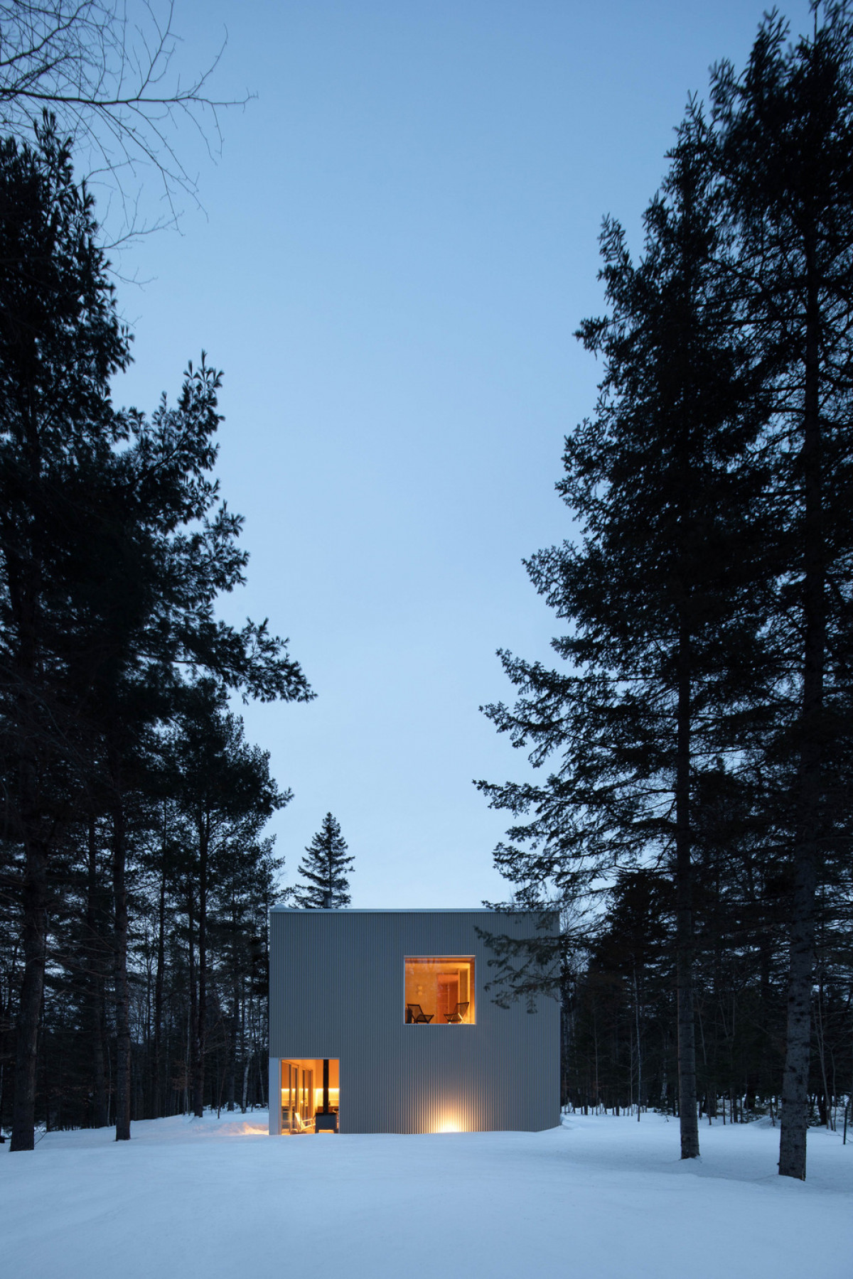 Photo credit: Adrien Williams