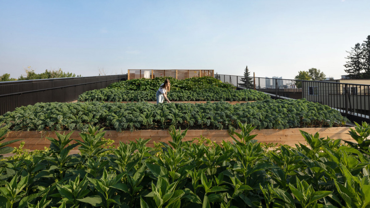 Photo credit: Ema Peter