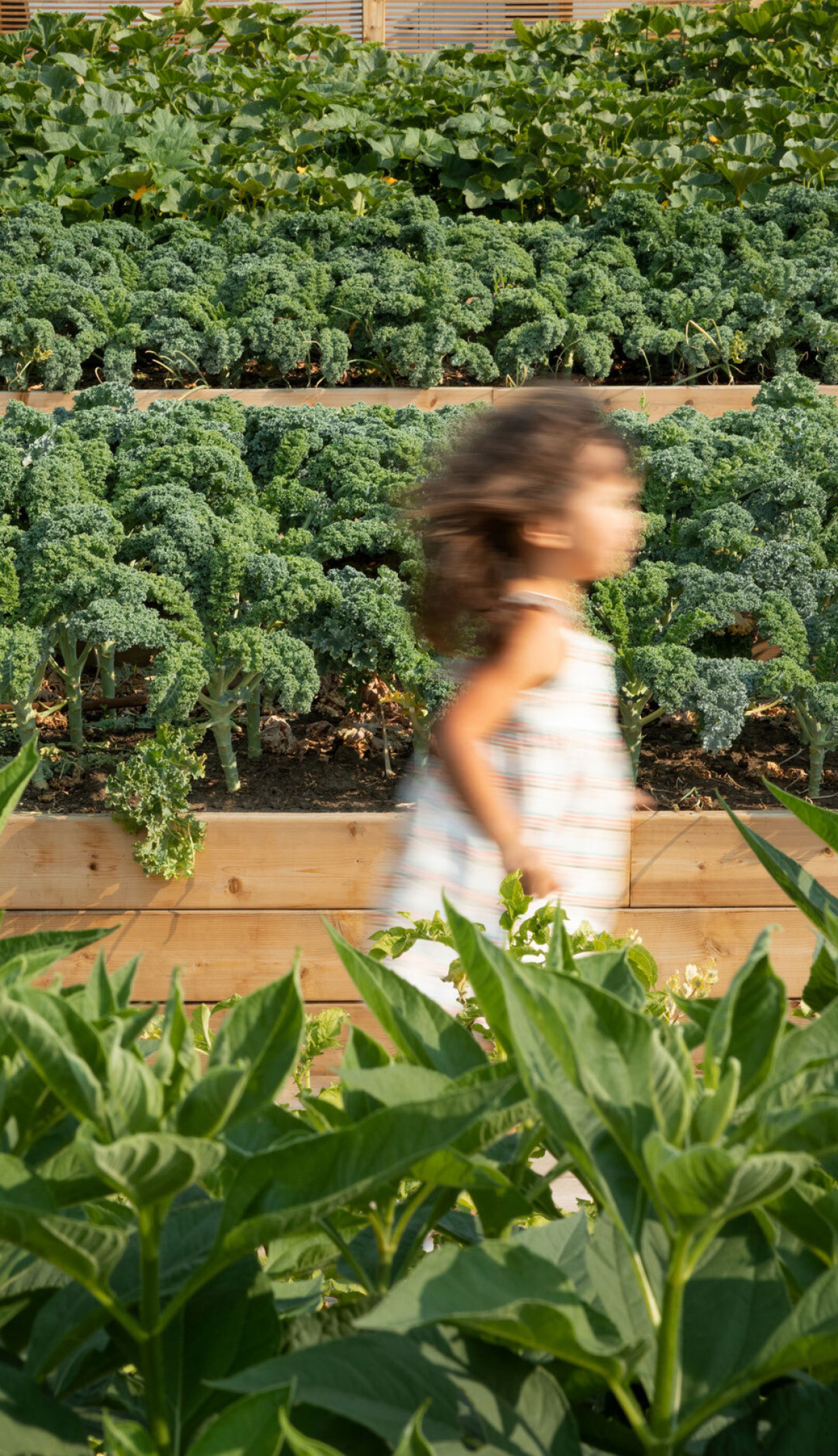 Photo credit: Ema Peter