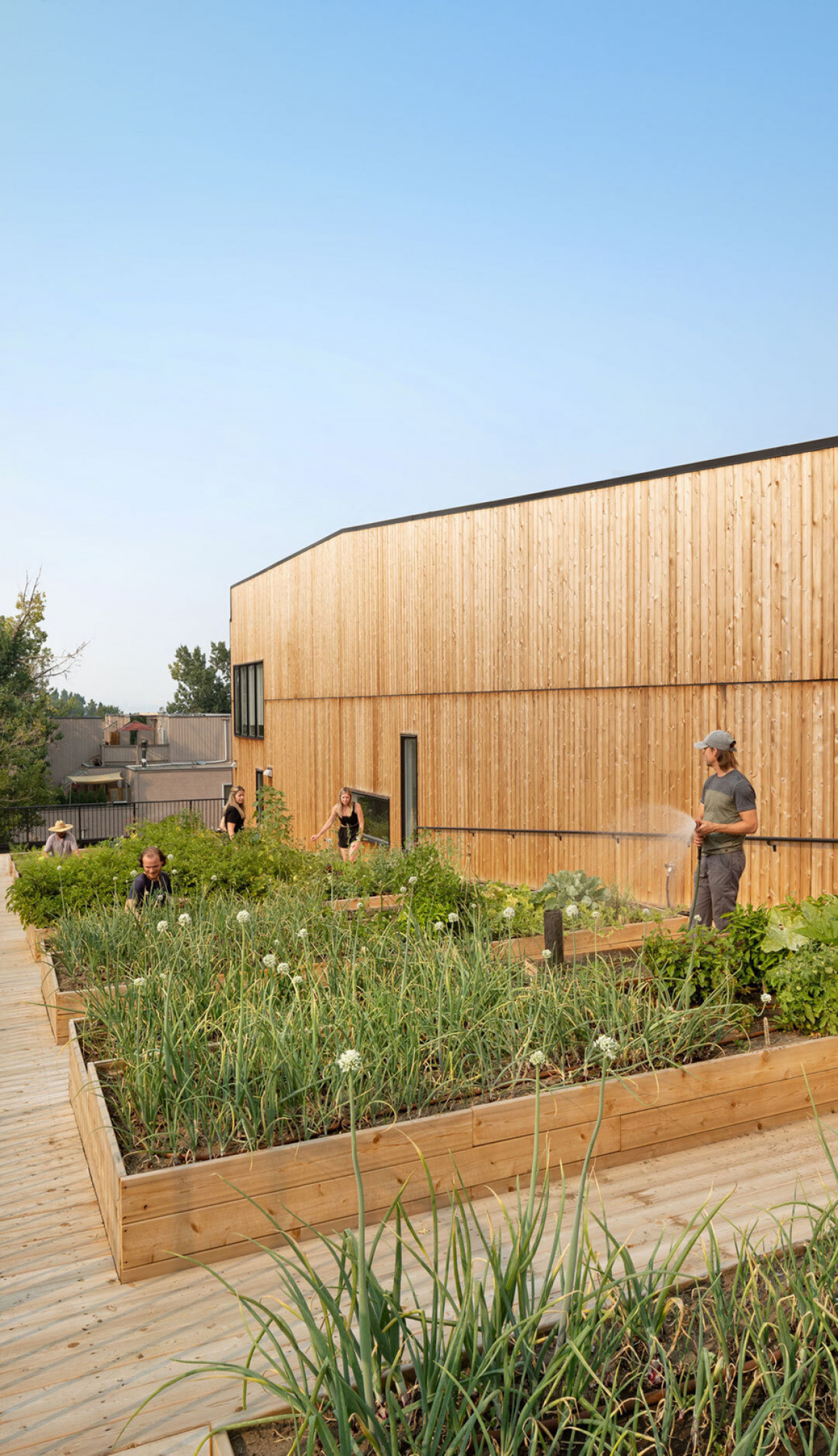 Photo credit: Ema Peter