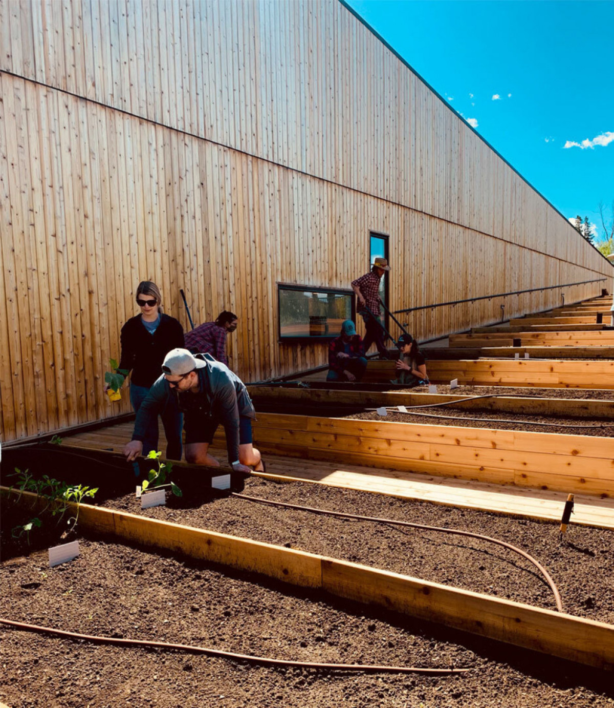 Photo credit: Ema Peter