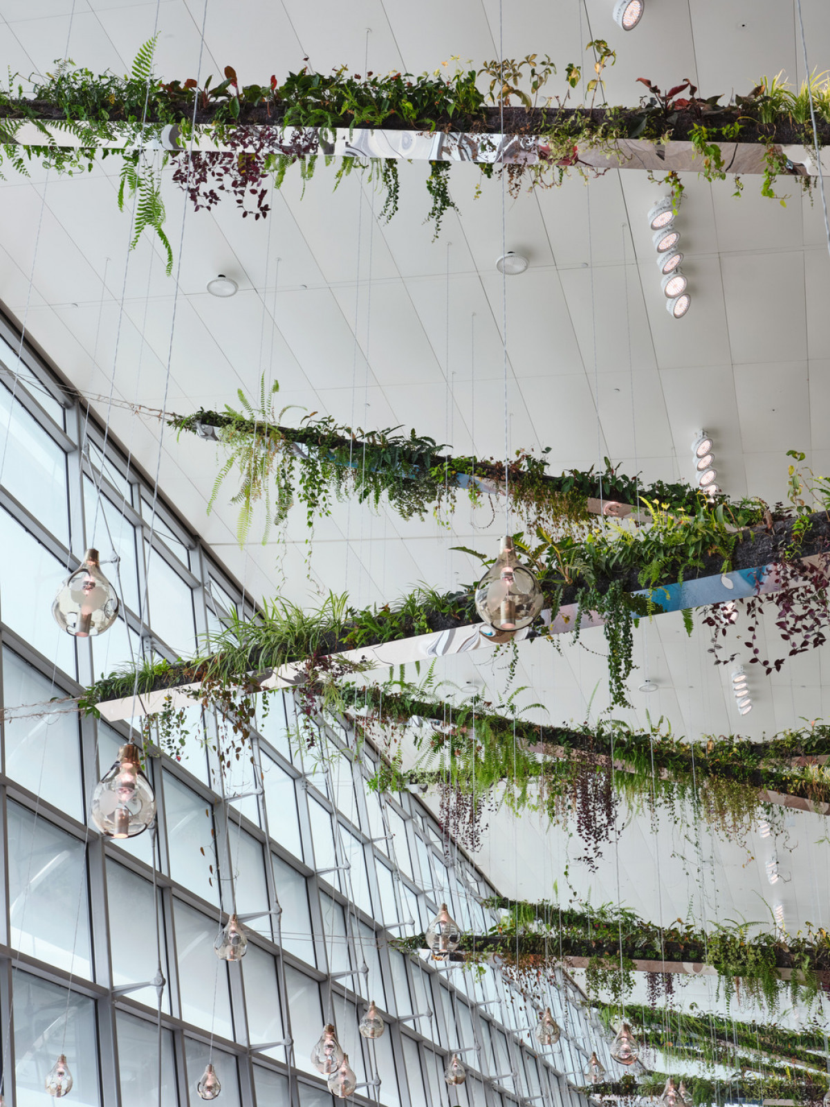 Photo credit: Changi Airport Group - Fabian Ong
