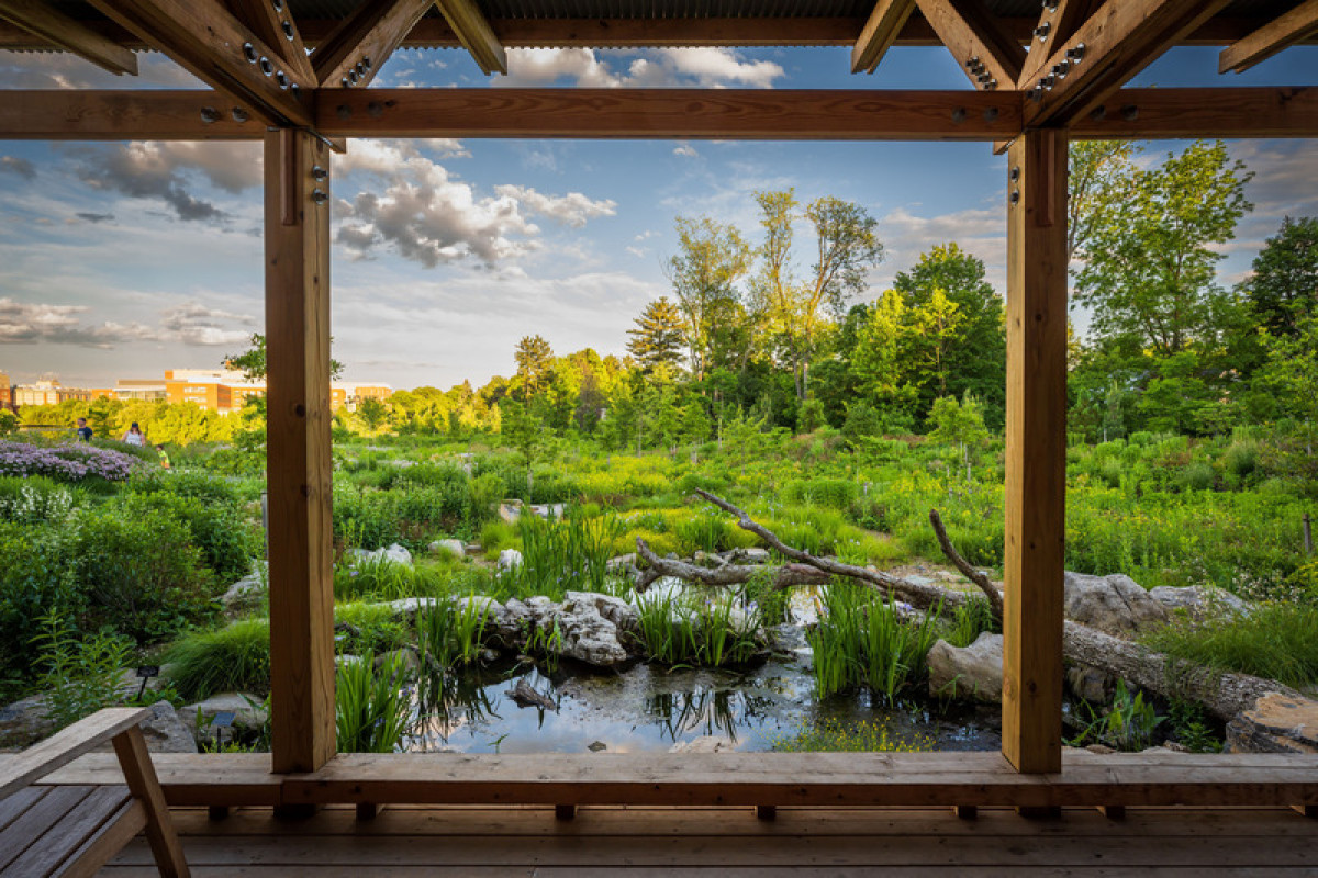 View from the Birdhouse with three separate viewing platforms. Where the Pollinators Are, by Didier Design Studio in collaboration with Lake Flato Architecture Photo credit: Rob Cardillo