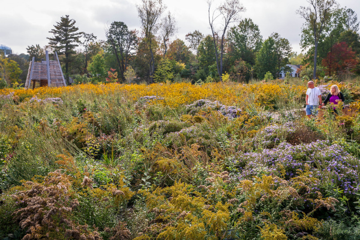 Rich planting supports pollinators throughout the seasons. Where the Pollinators Are, by Didier Design Studio Photo credit: Rob Cardillo