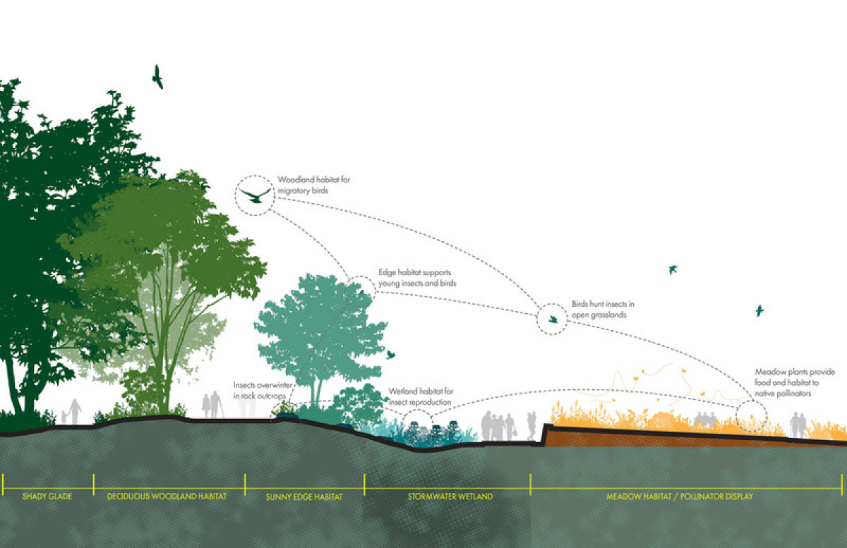So much life exists in and between two conditions. Where the Pollinators Are, by Didier Design Studio Photo credit: Didier Design Studio