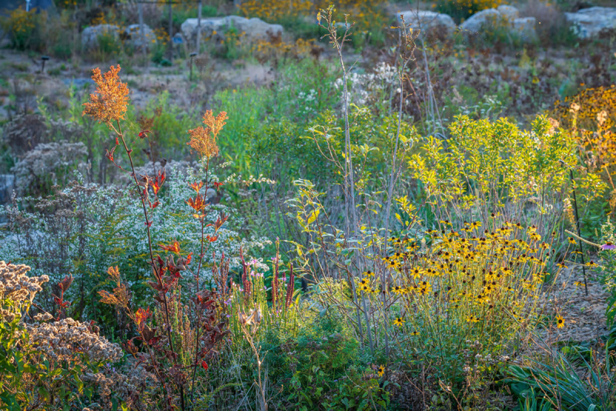 Where the Pollinators Are, by Didier Design Studio Photo credit: Rob Cardillo