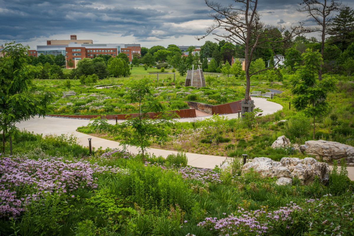 Where the Pollinators Are, by Didier Design Studio Photo credit: Rob Cardillo