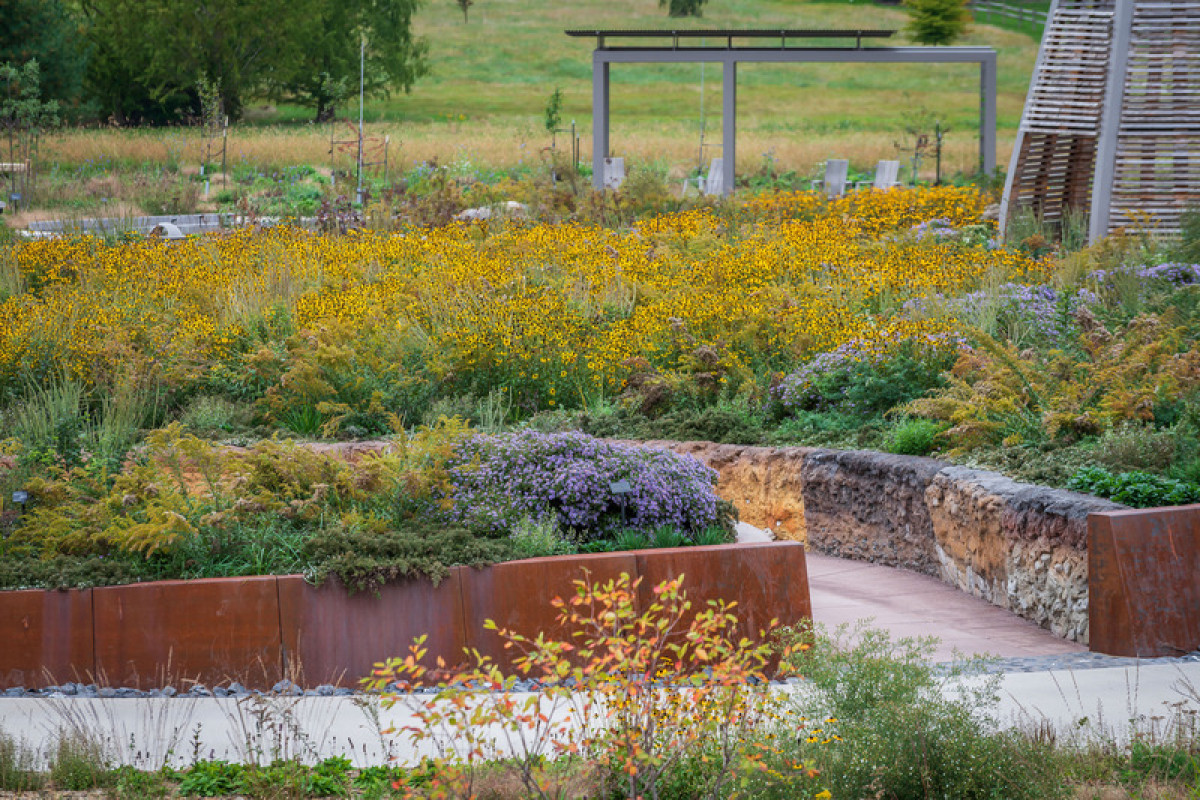 Pollinator Disc, Where the Pollinators Are, by Didier Design Studio Photo credit: Rob Cardillo
