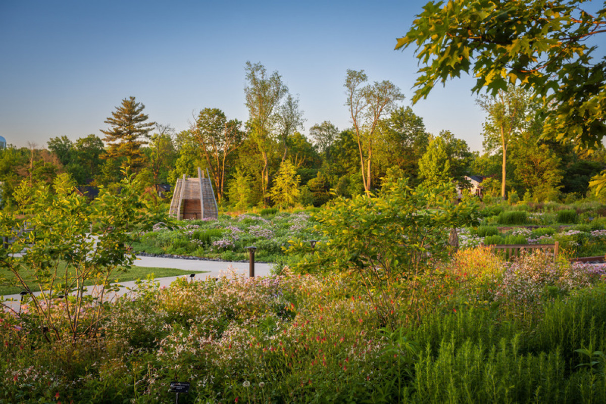 Where the Pollinators Are, by Didier Design Studio Photo credit: Rob Cardill