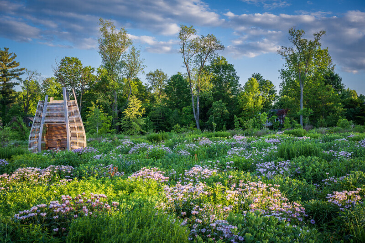 Where the Pollinators Are, by Didier Design Studio Photo credit: Rob Cardillo