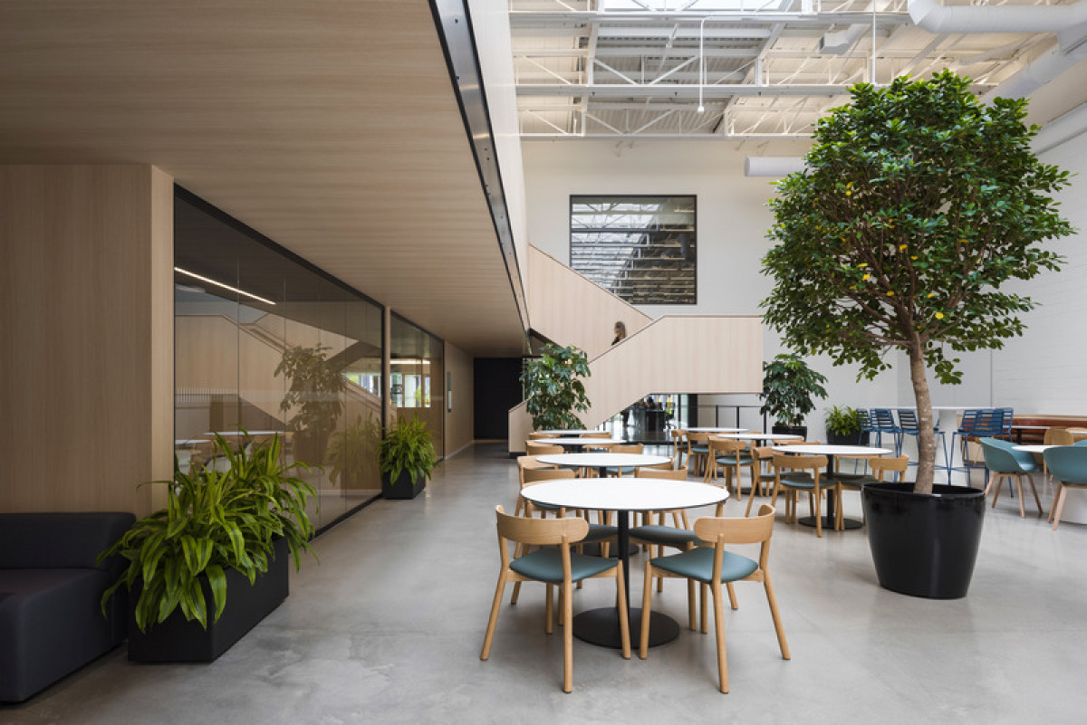 Photo credit: Vincent Brillant