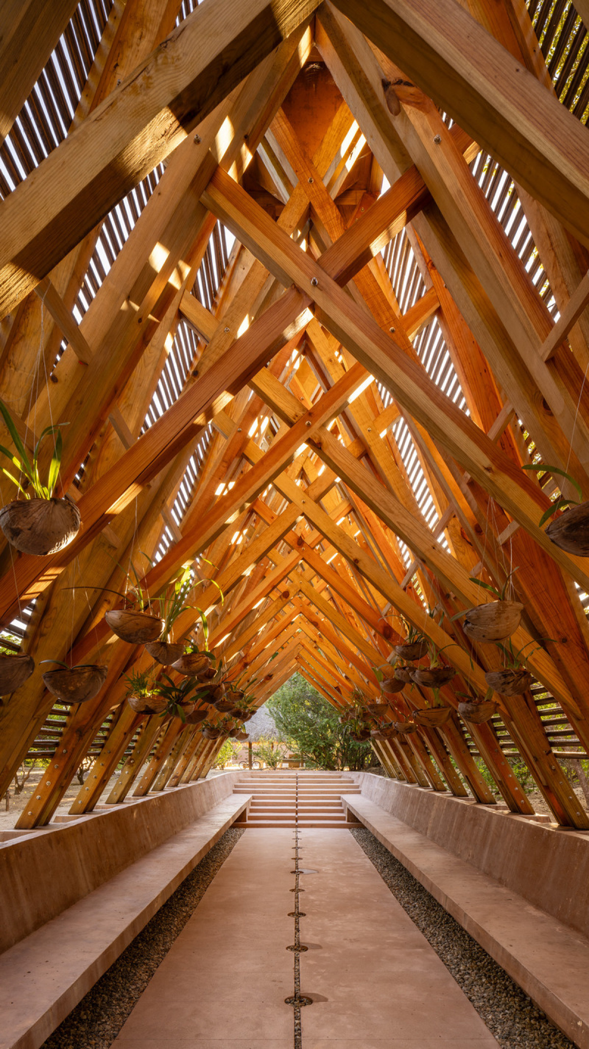 Photo credit: Jaime Navarro