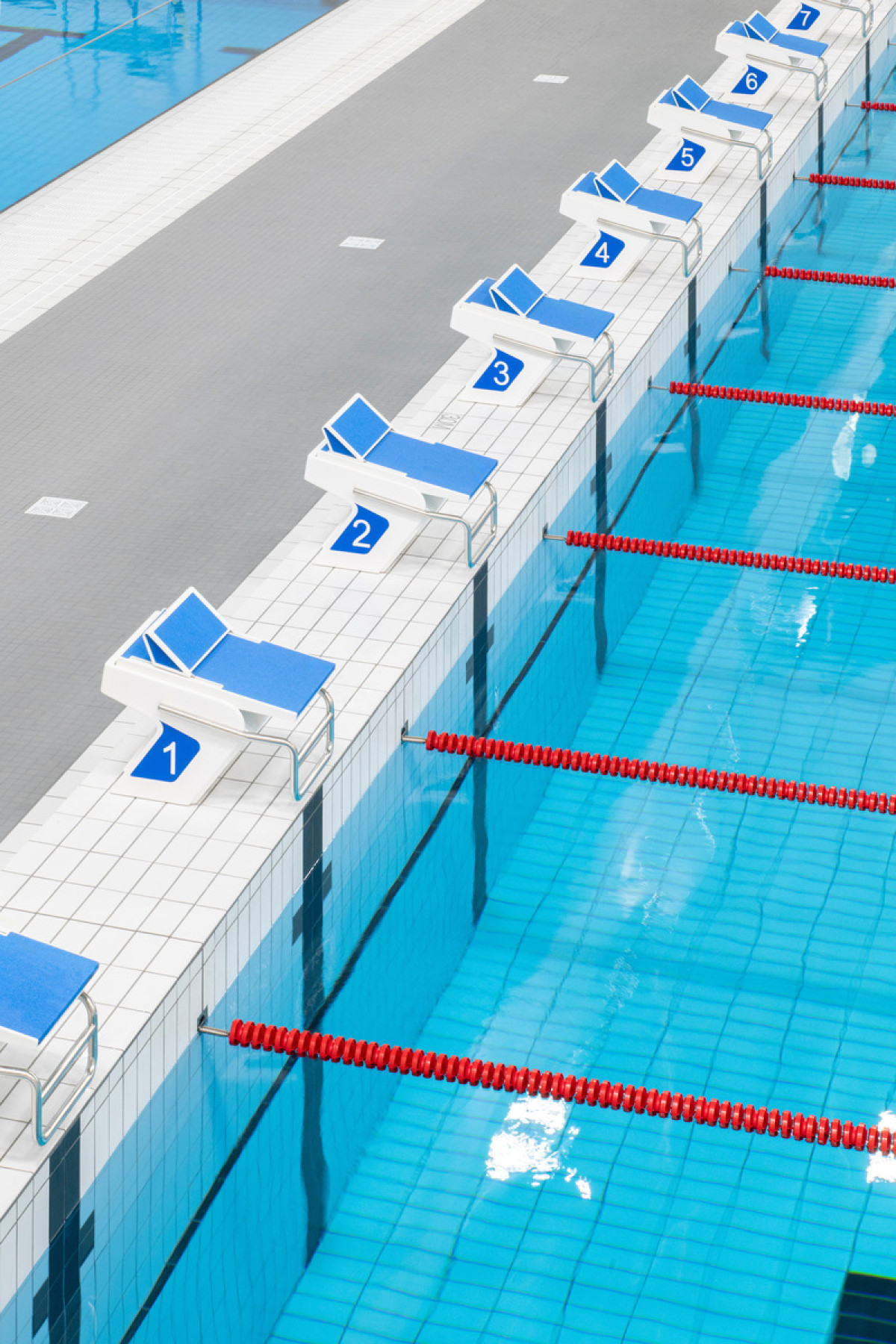 Photo credit: David Boyer