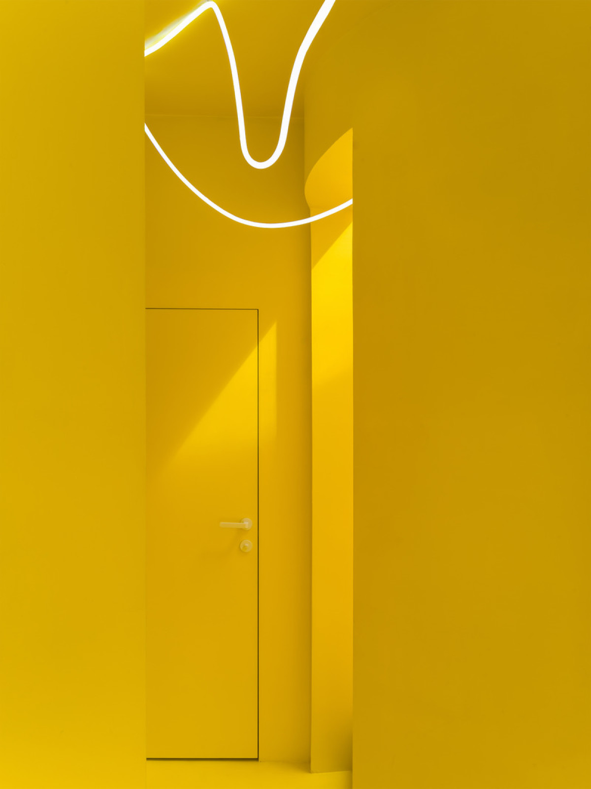 Photo credit: Dmitry Chebanenko