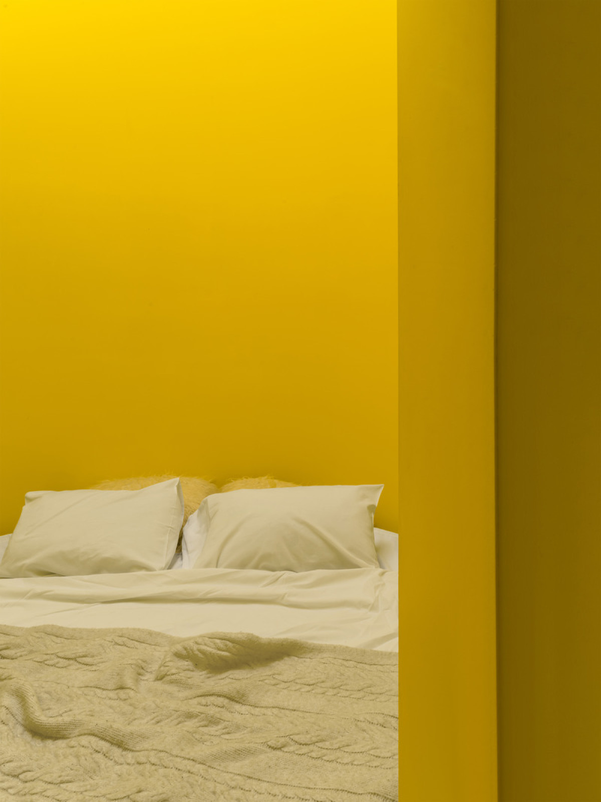 Photo credit: Dmitry Chebanenko