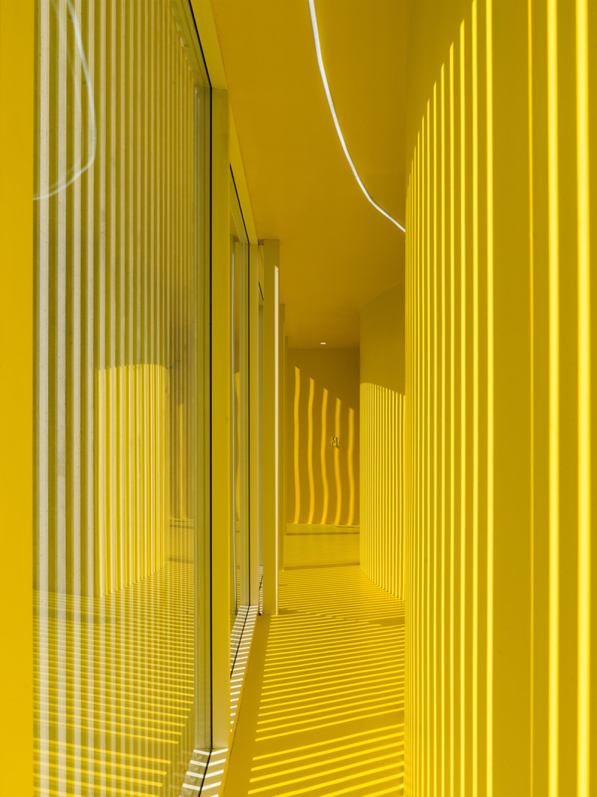 Photo credit: Dmitry Chebanenko