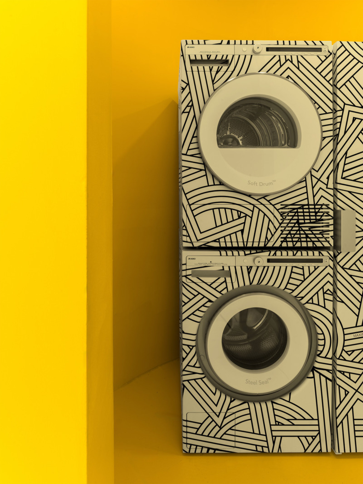 Photo credit: Dmitry Chebanenko