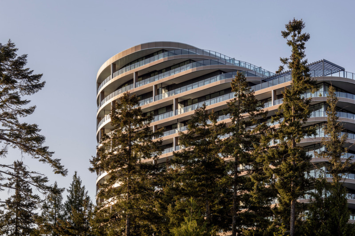 Photo credit: Adrien Williams