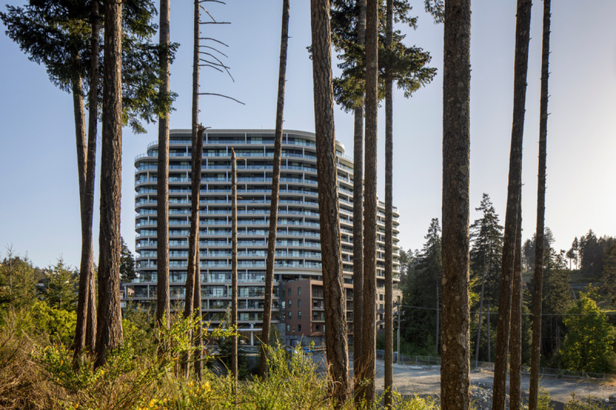 Photo credit: Adrien Williams