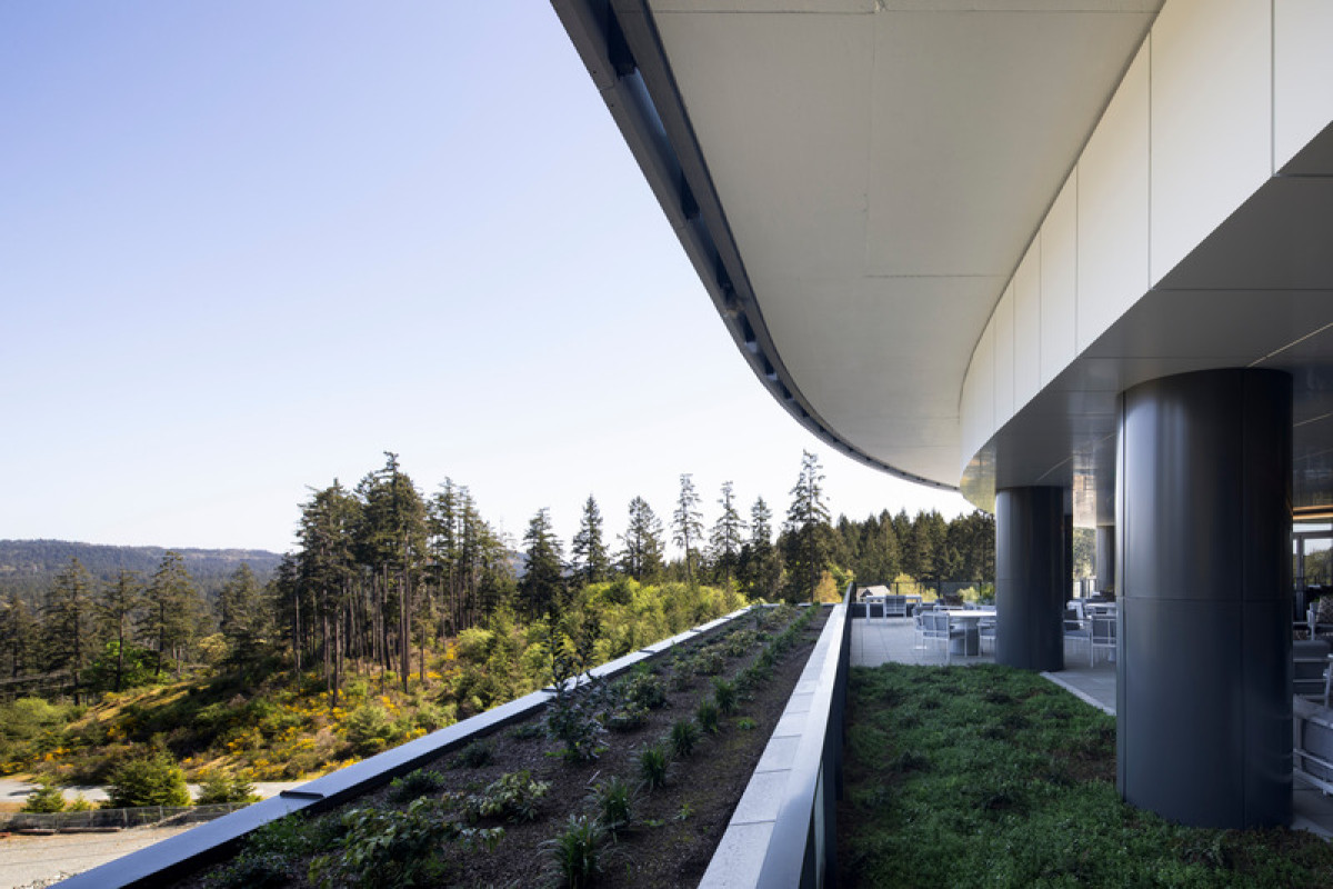 Photo credit: Adrien Williams