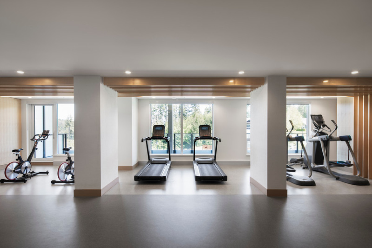 Photo credit: Adrien Williams