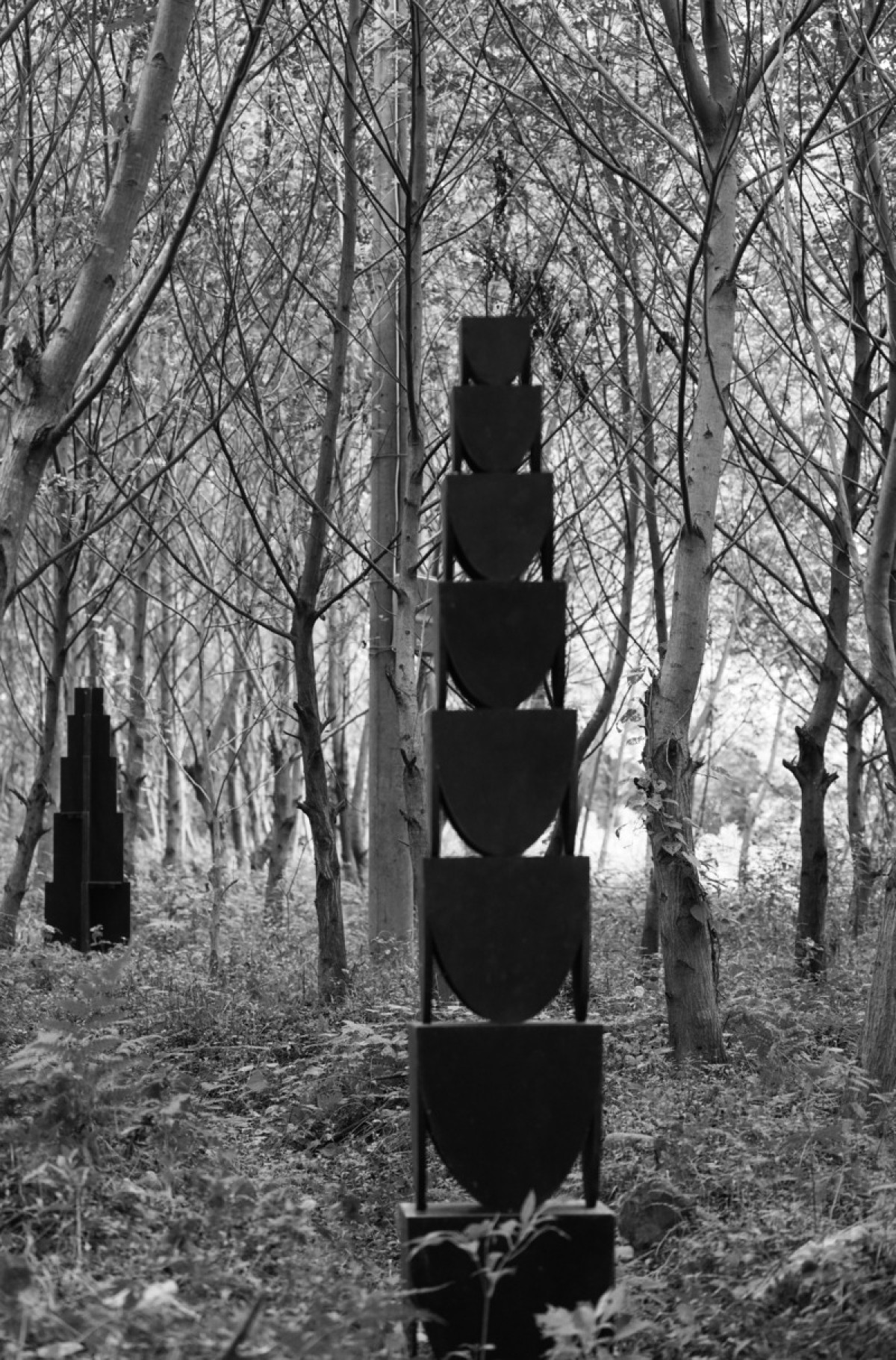 Photo credit: lin lifeng