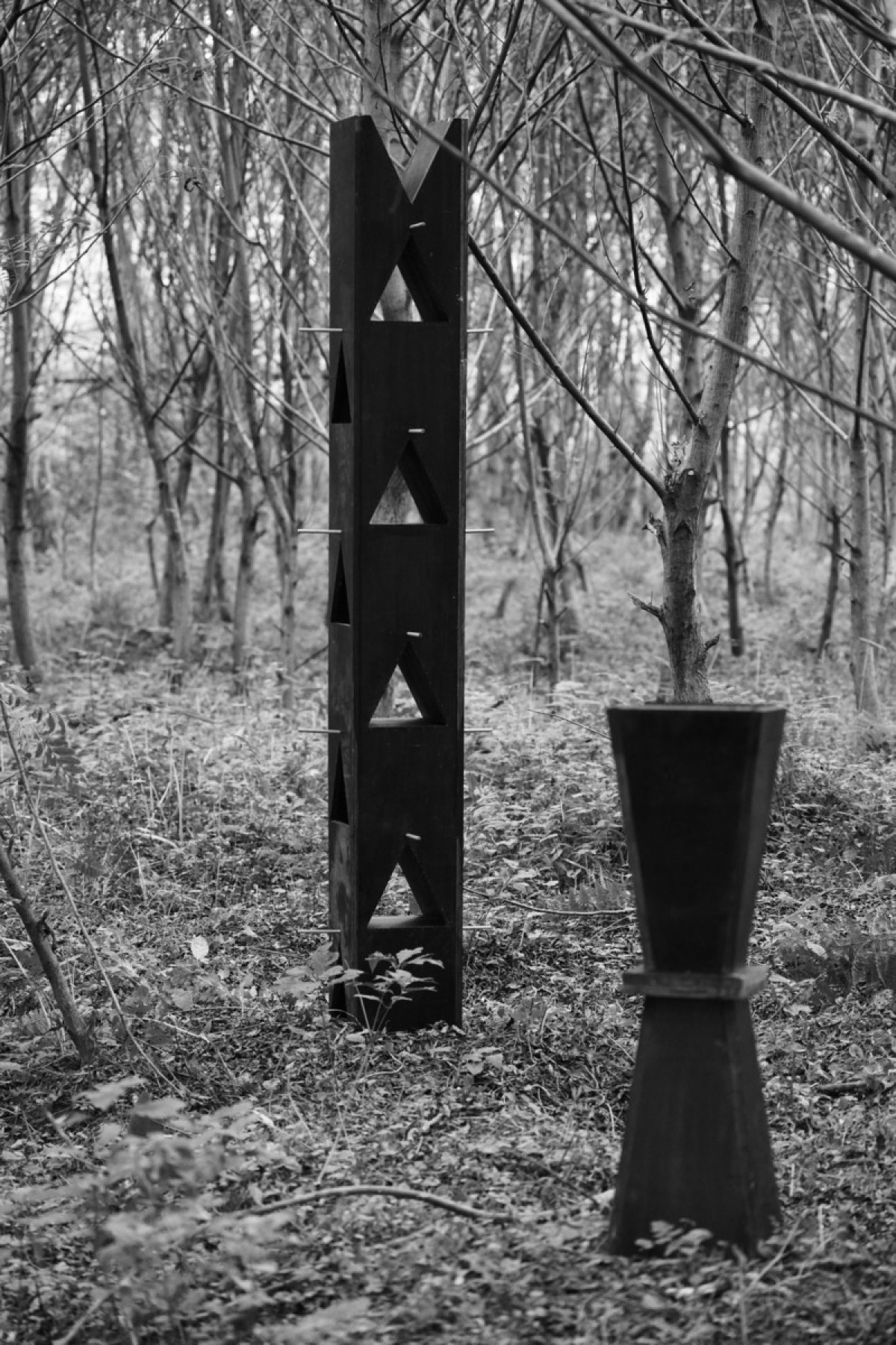 Photo credit: lin lifeng