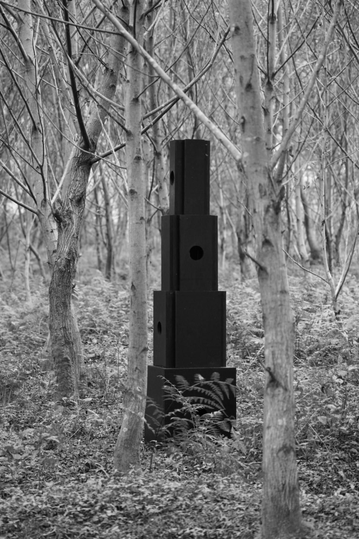 Photo credit: lin lifeng