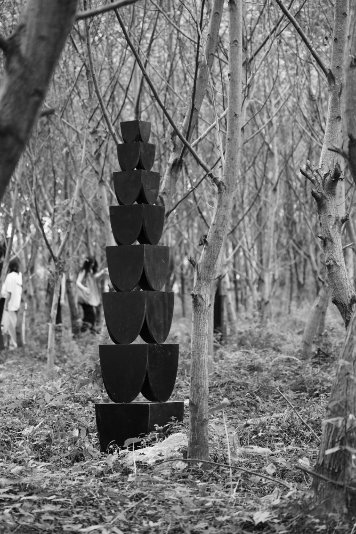 Photo credit: lin lifeng