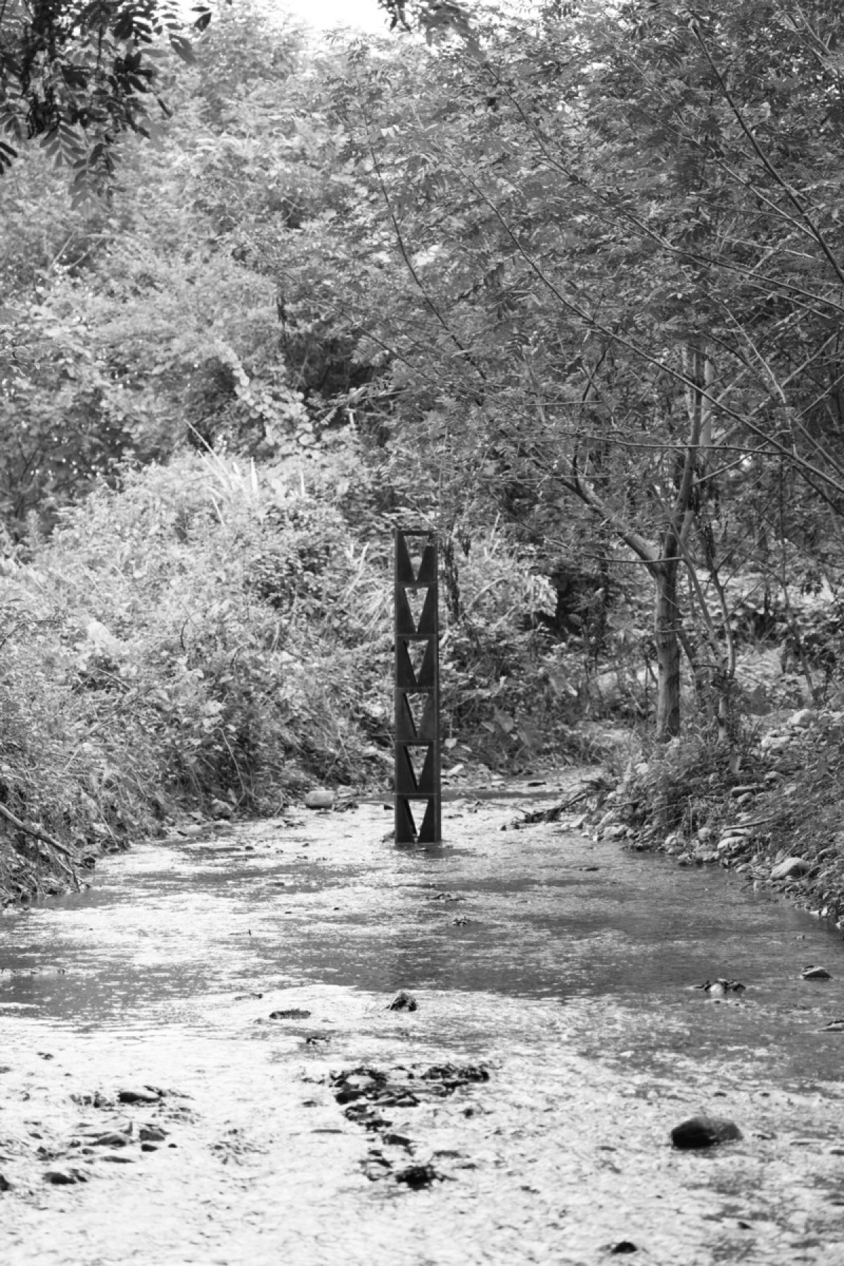 Photo credit: lin lifeng