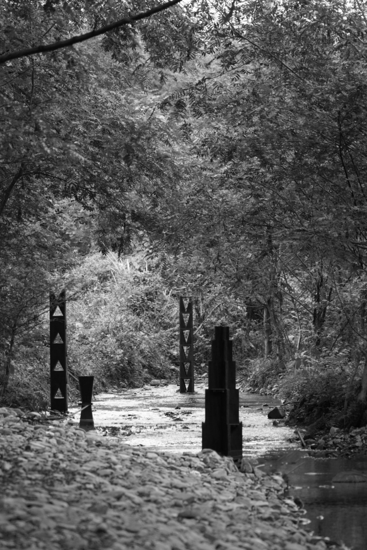 Photo credit: lin lifeng