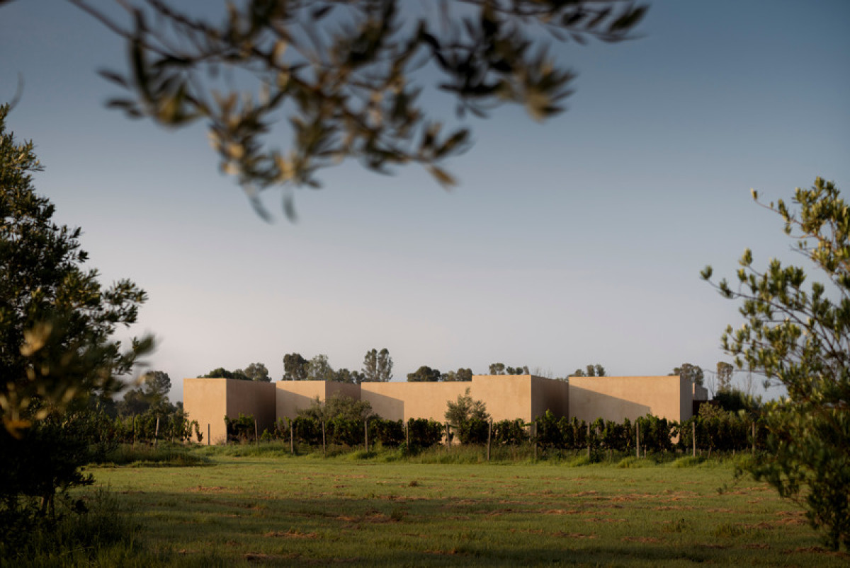 Photo credit: Cesar Belio