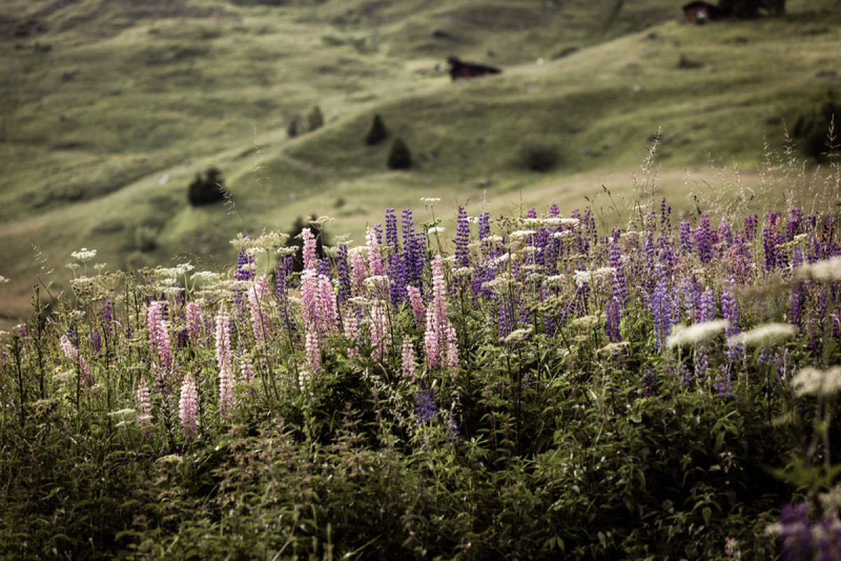 Photo credit: @jwilson