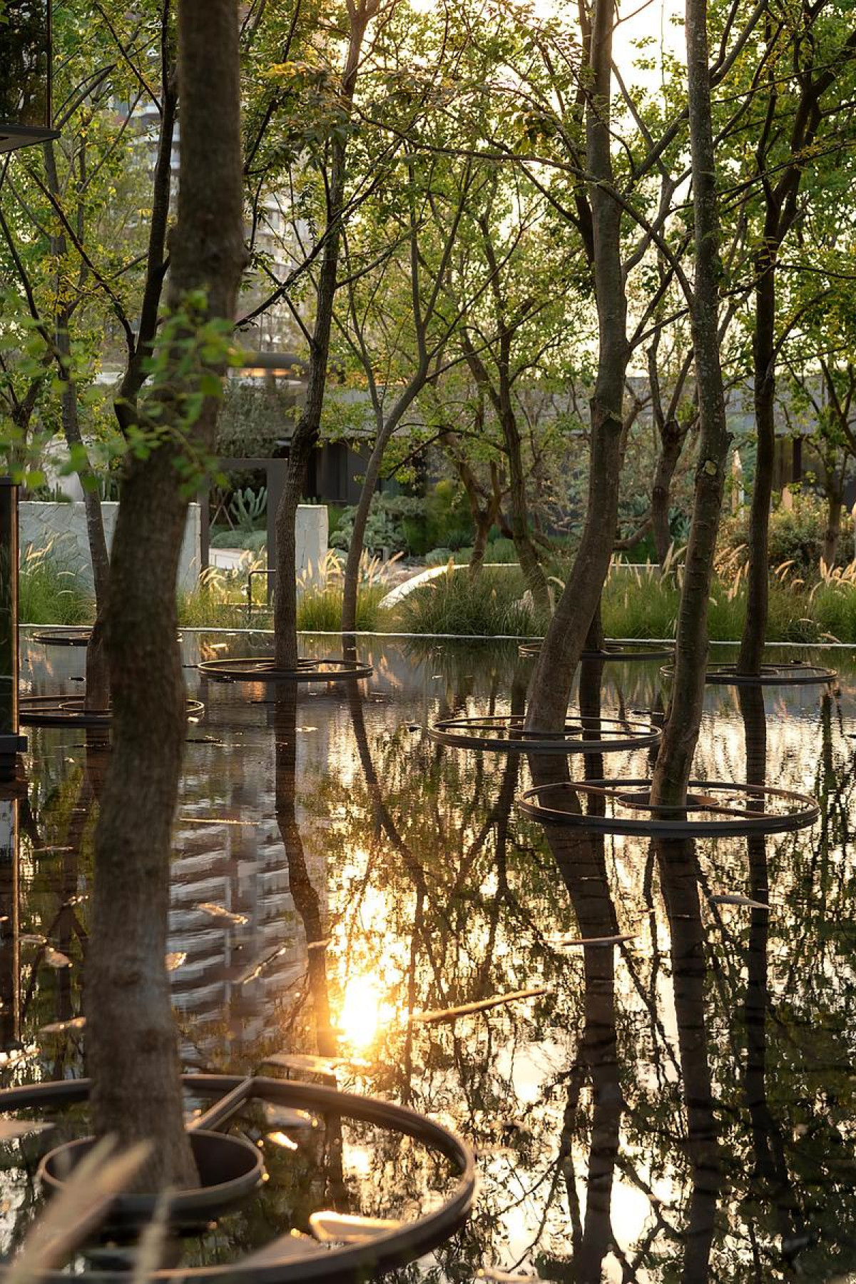 Photo credit: PrismImage