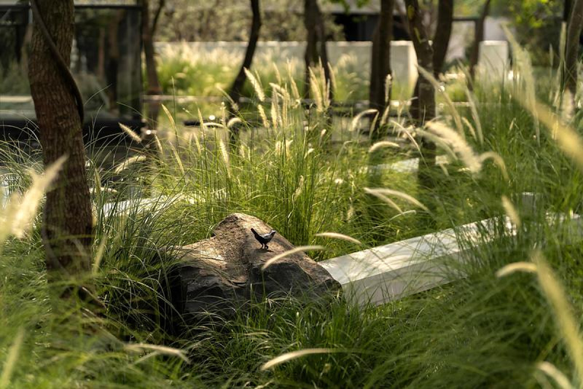 Photo credit: PrismImage