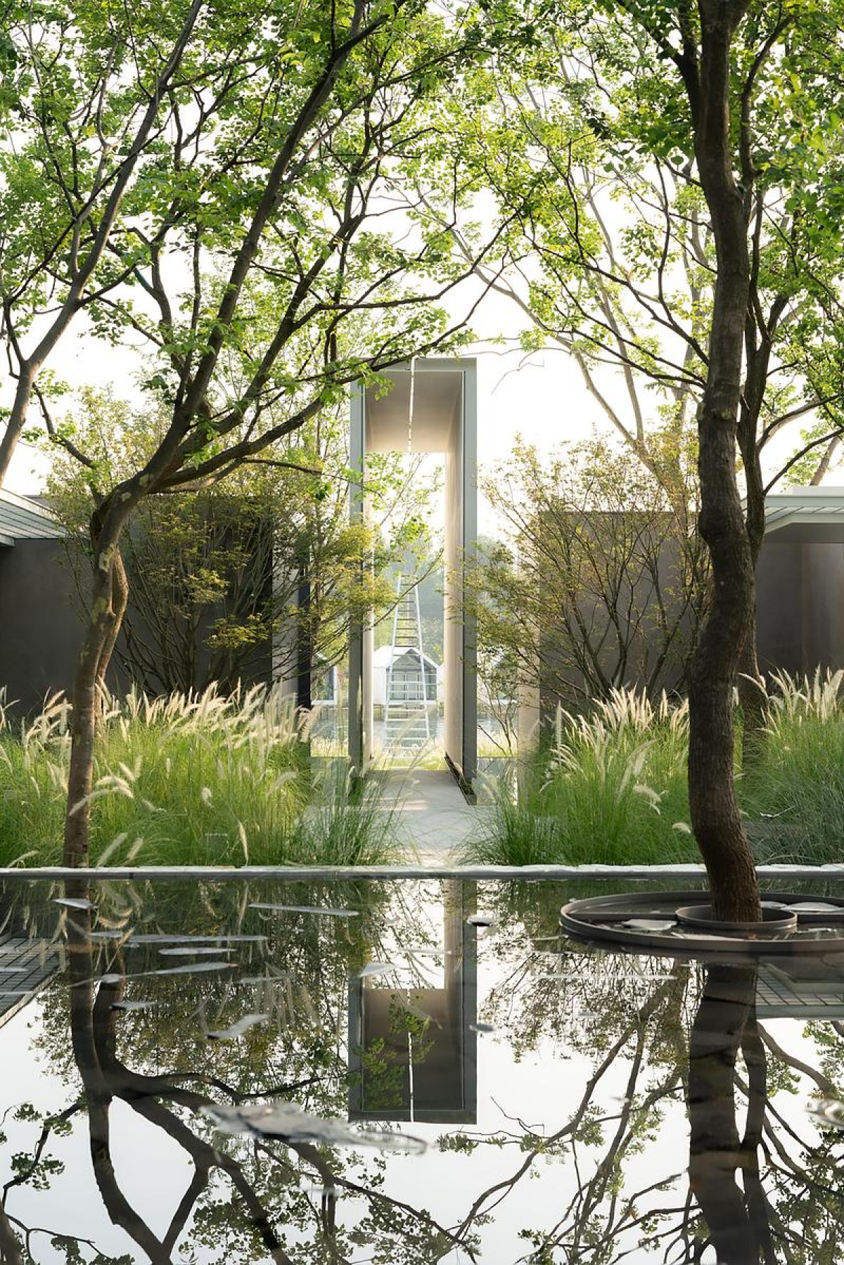 Photo credit: PrismImage